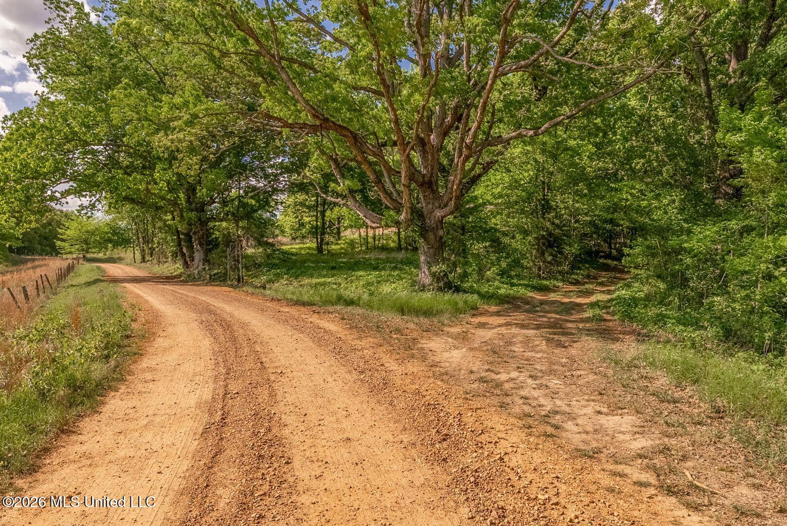 0 Hankins Road Sarah, MS 38665 - Photo 21 of 32 33-HankinsFinal