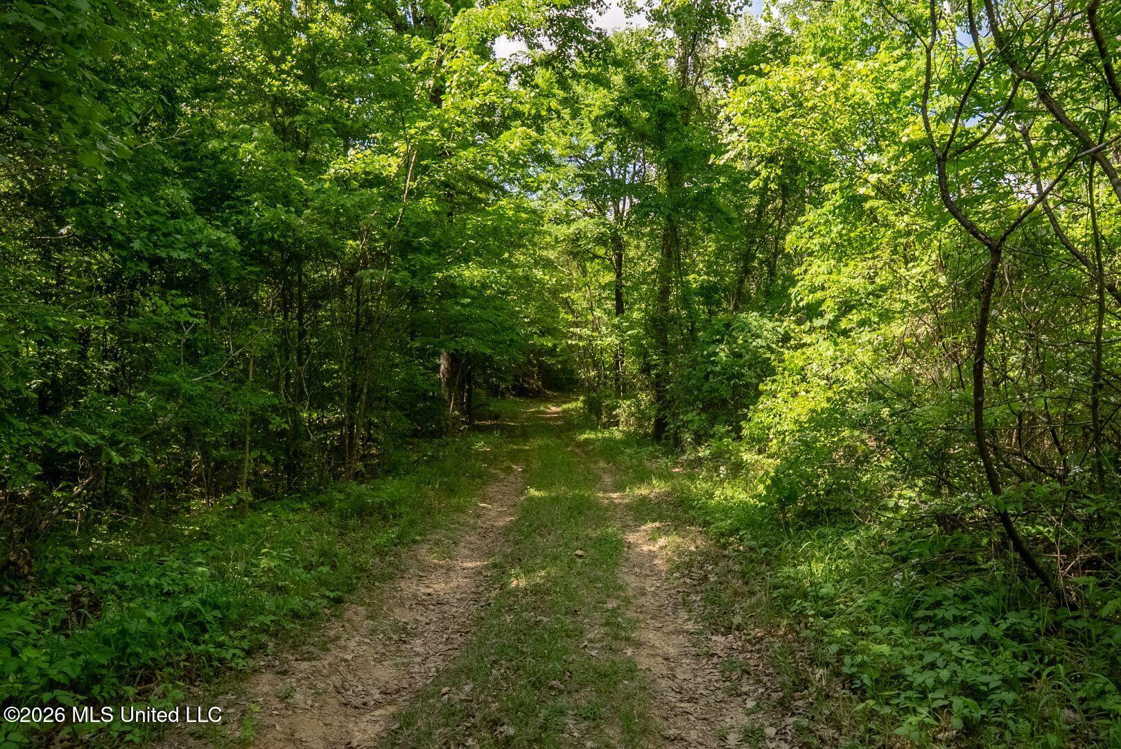 0 Hankins Road Sarah, MS 38665 - Photo 22 of 32 34-HankinsFinal