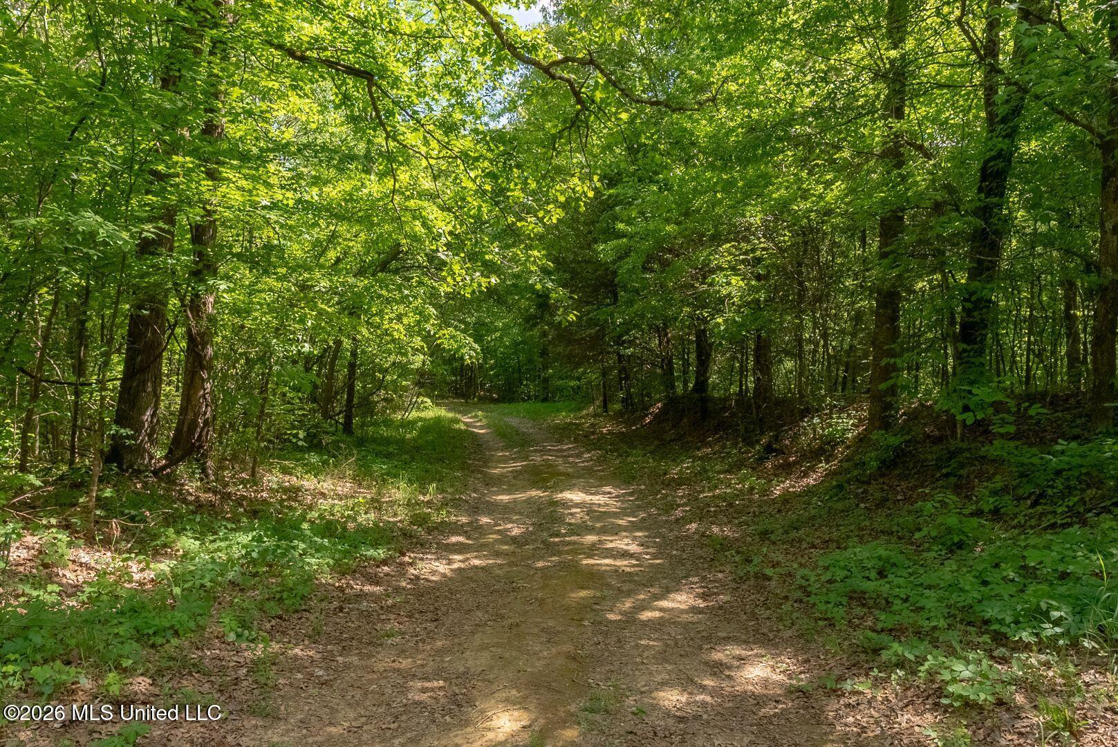 0 Hankins Road Sarah, MS 38665 - Photo 23 of 32 35-HankinsFinal