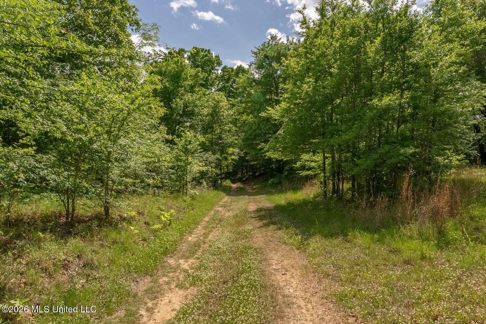 0 Hankins Road Sarah, MS 38665 - Photo 24 of 32 36-HankinsFinal