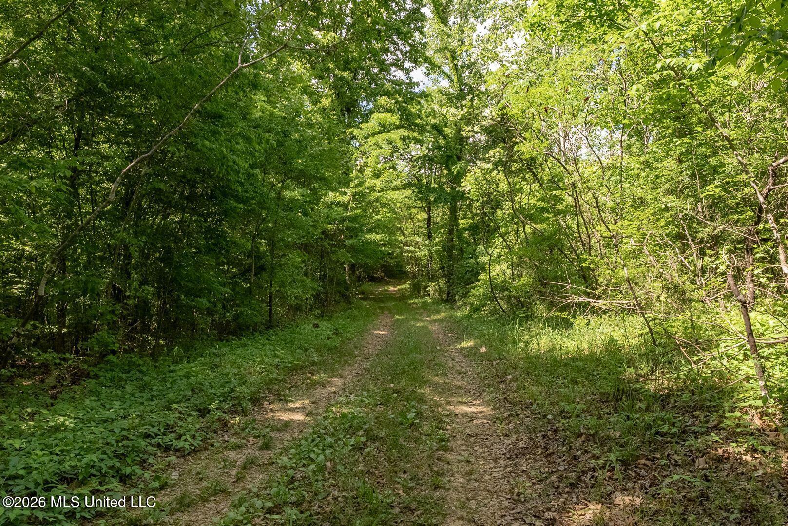 0 Hankins Road Sarah, MS 38665 - Photo 25 of 32 37-HankinsFinal