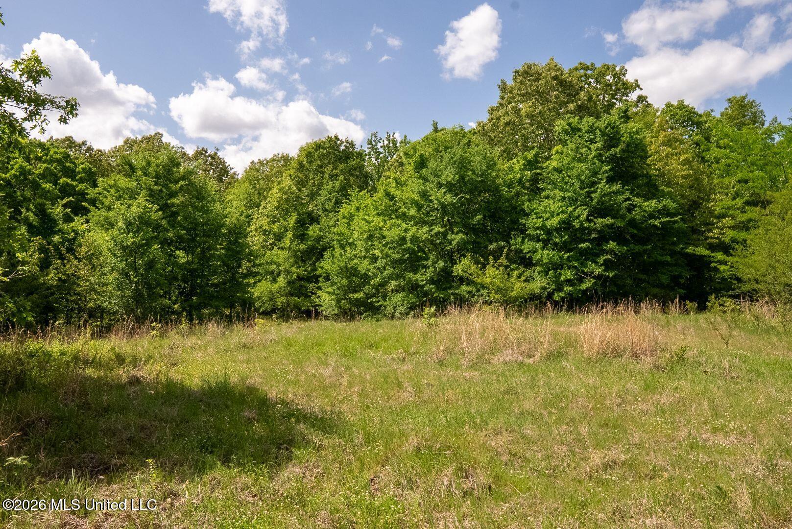 0 Hankins Road Sarah, MS 38665 - Photo 26 of 32 38-HankinsFinal