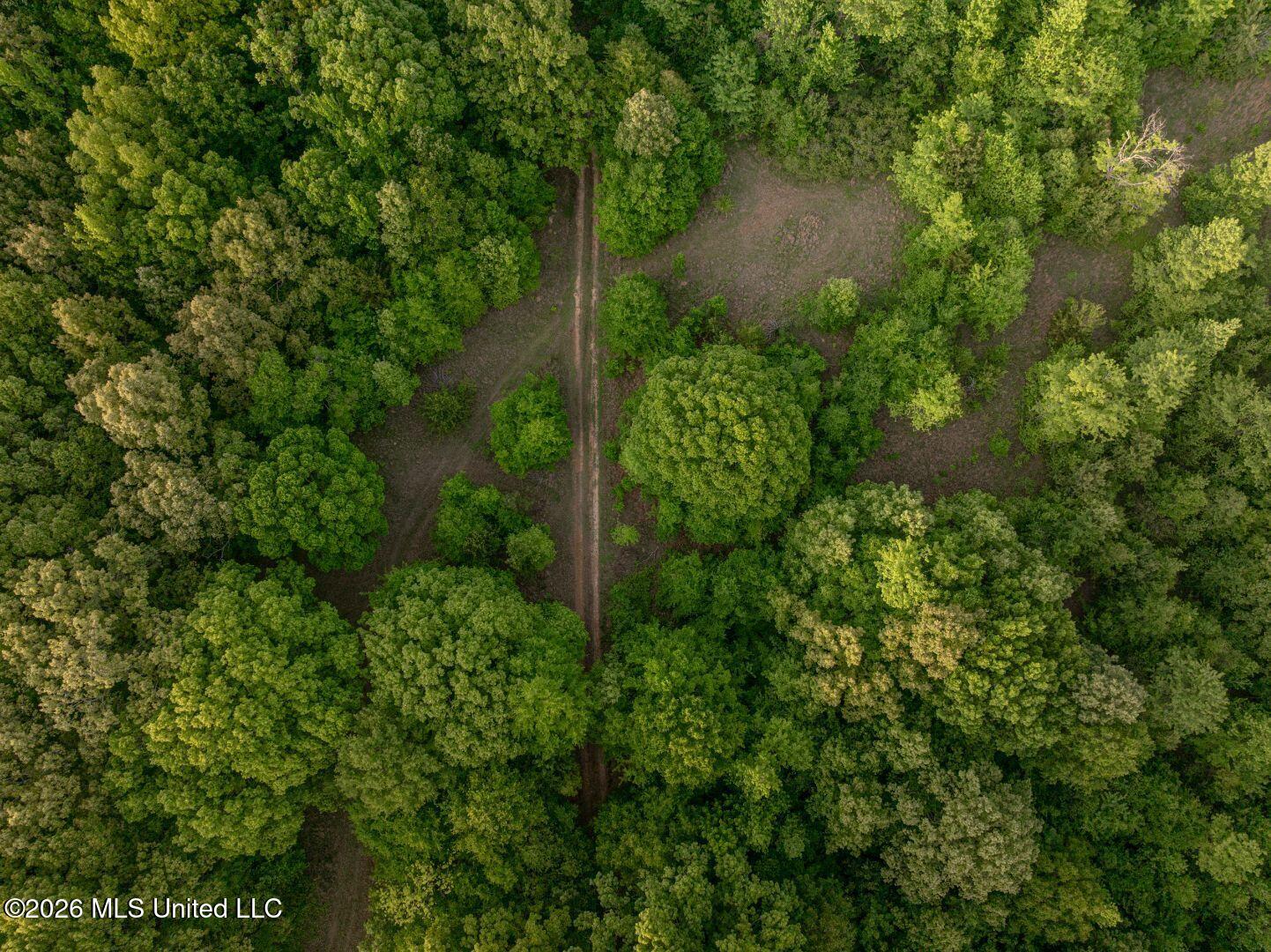 0 Hankins Road Sarah, MS 38665 - Photo 27 of 32 39-HankinsFinal