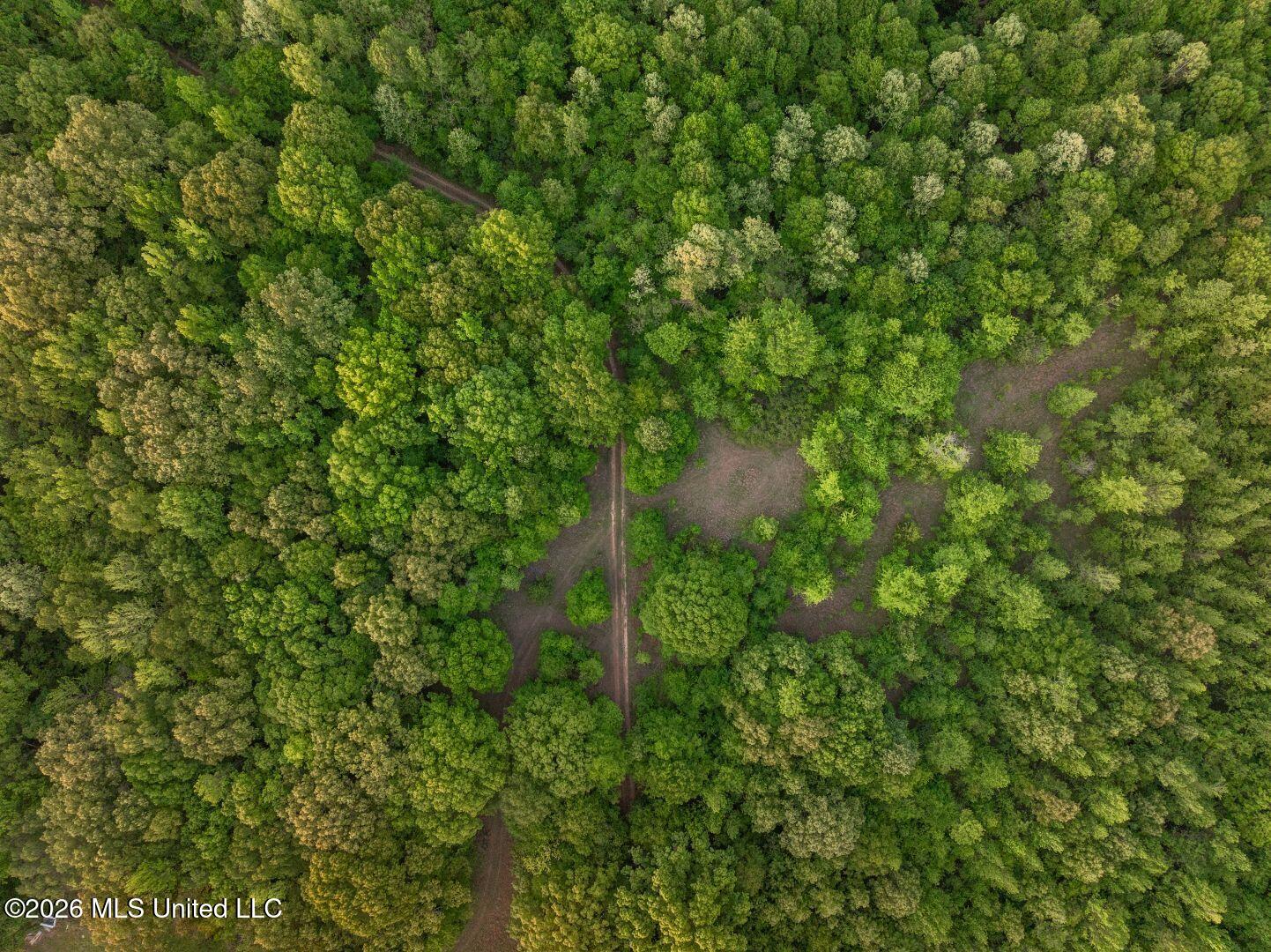 0 Hankins Road Sarah, MS 38665 - Photo 28 of 32 40-HankinsFinal