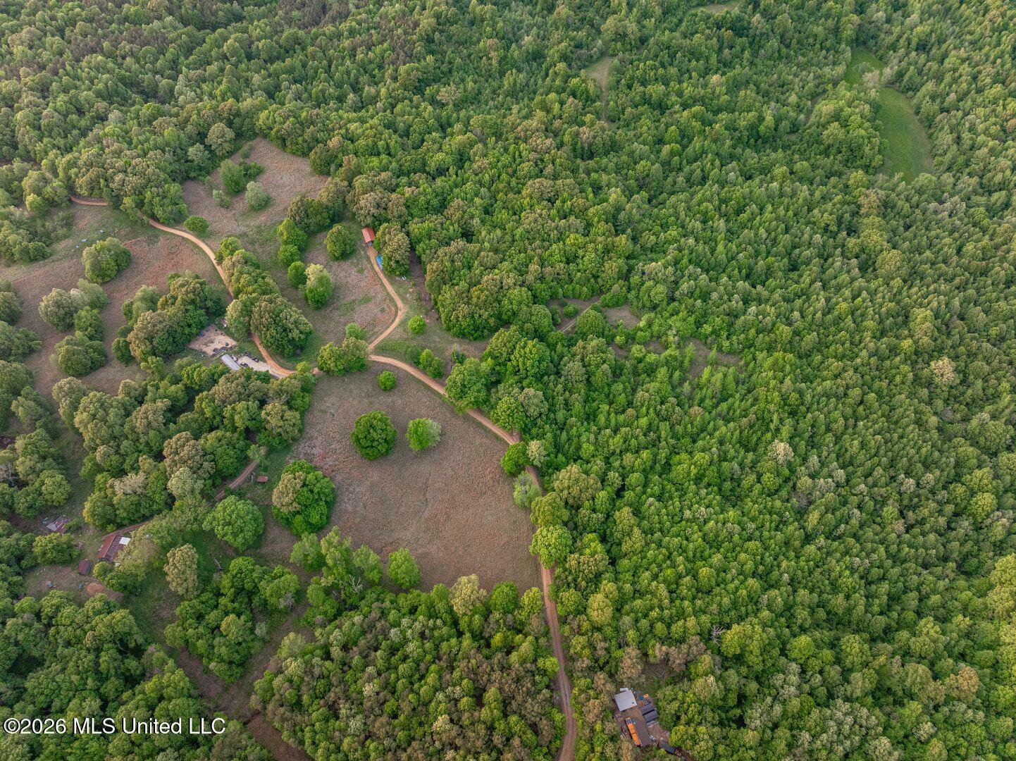 0 Hankins Road Sarah, MS 38665 - Photo 29 of 32 41-HankinsFinal
