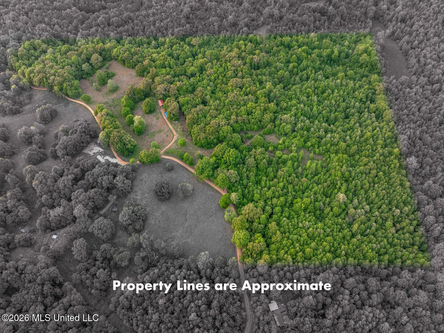 0 Hankins Road Sarah, MS 38665 - Photo 30 of 32 HankinsRd drone2