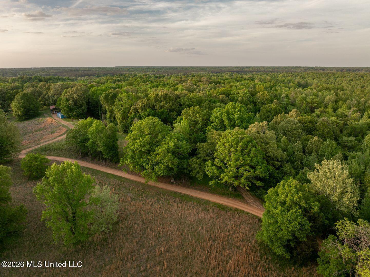 0 Hankins Road Sarah, MS 38665 - Photo 3 of 32 06-HankinsFinal