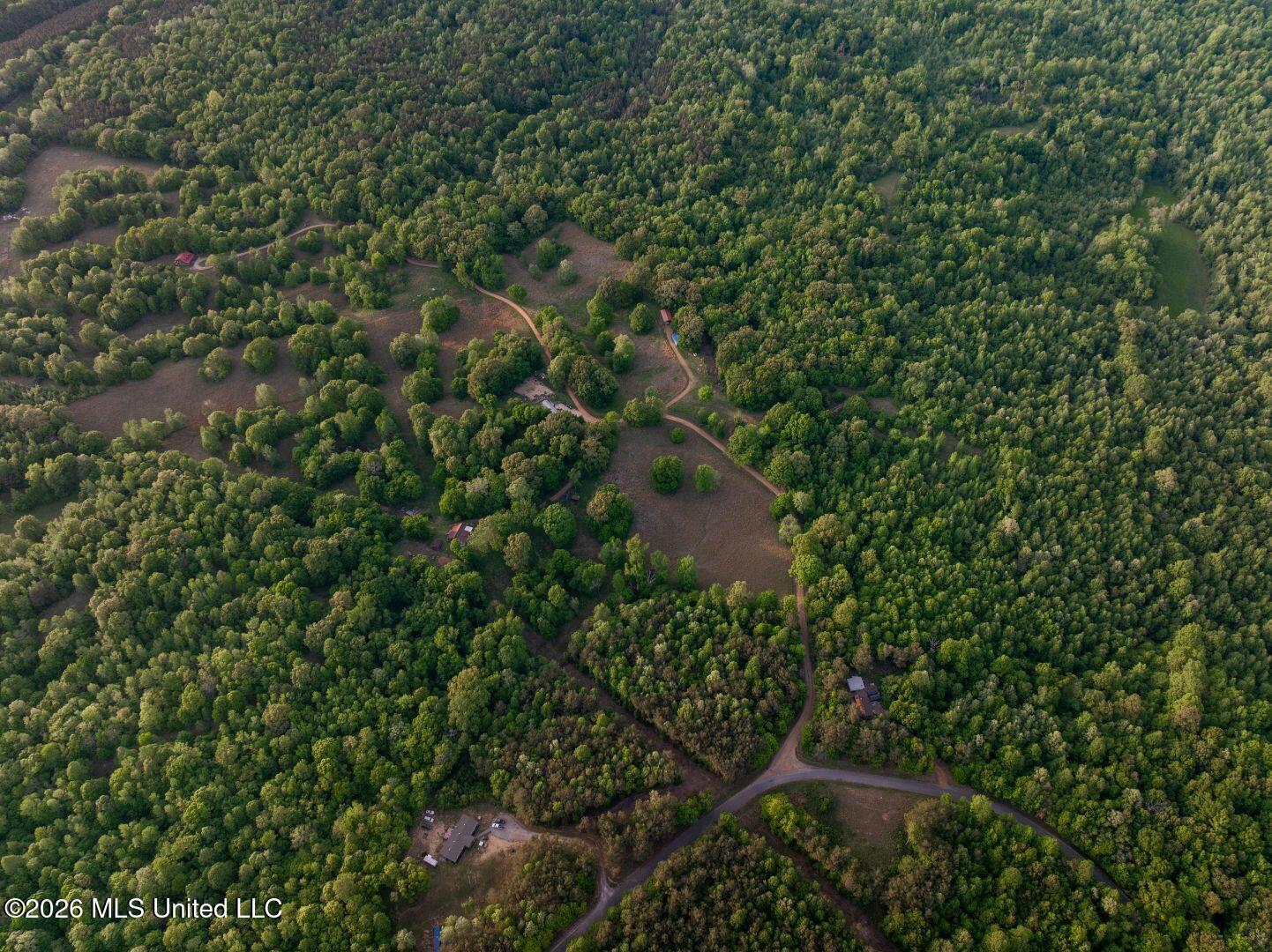 0 Hankins Road Sarah, MS 38665 - Photo 31 of 32 43-HankinsFinal