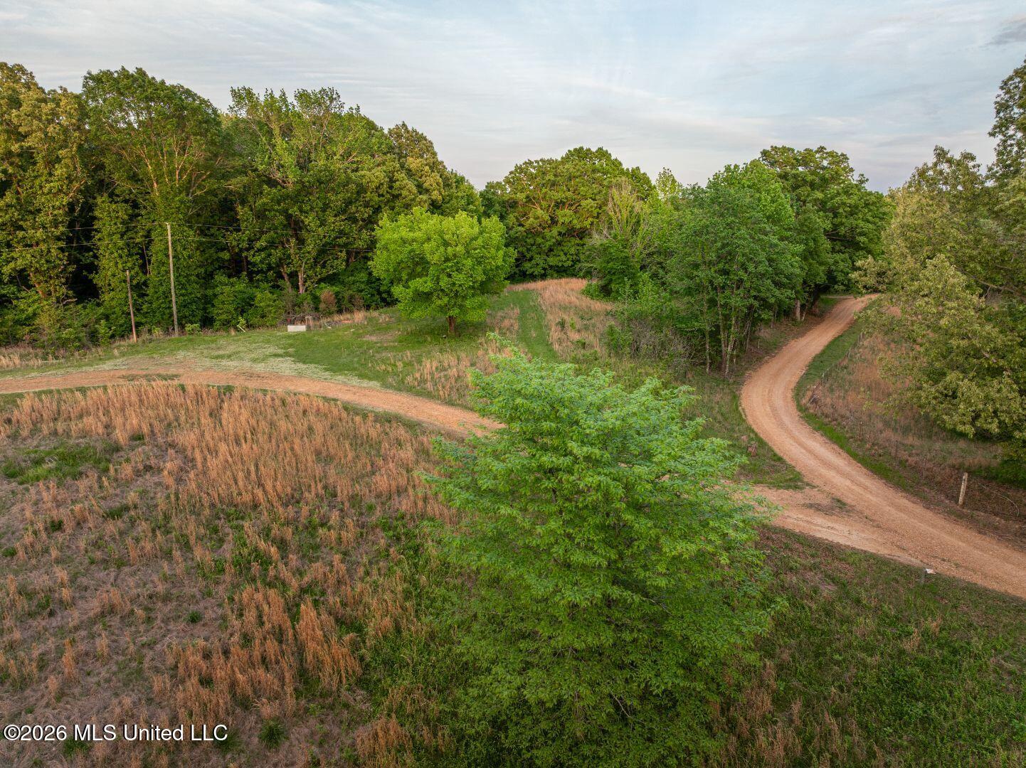 0 Hankins Road Sarah, MS 38665 - Photo 4 of 32 11-HankinsFinal