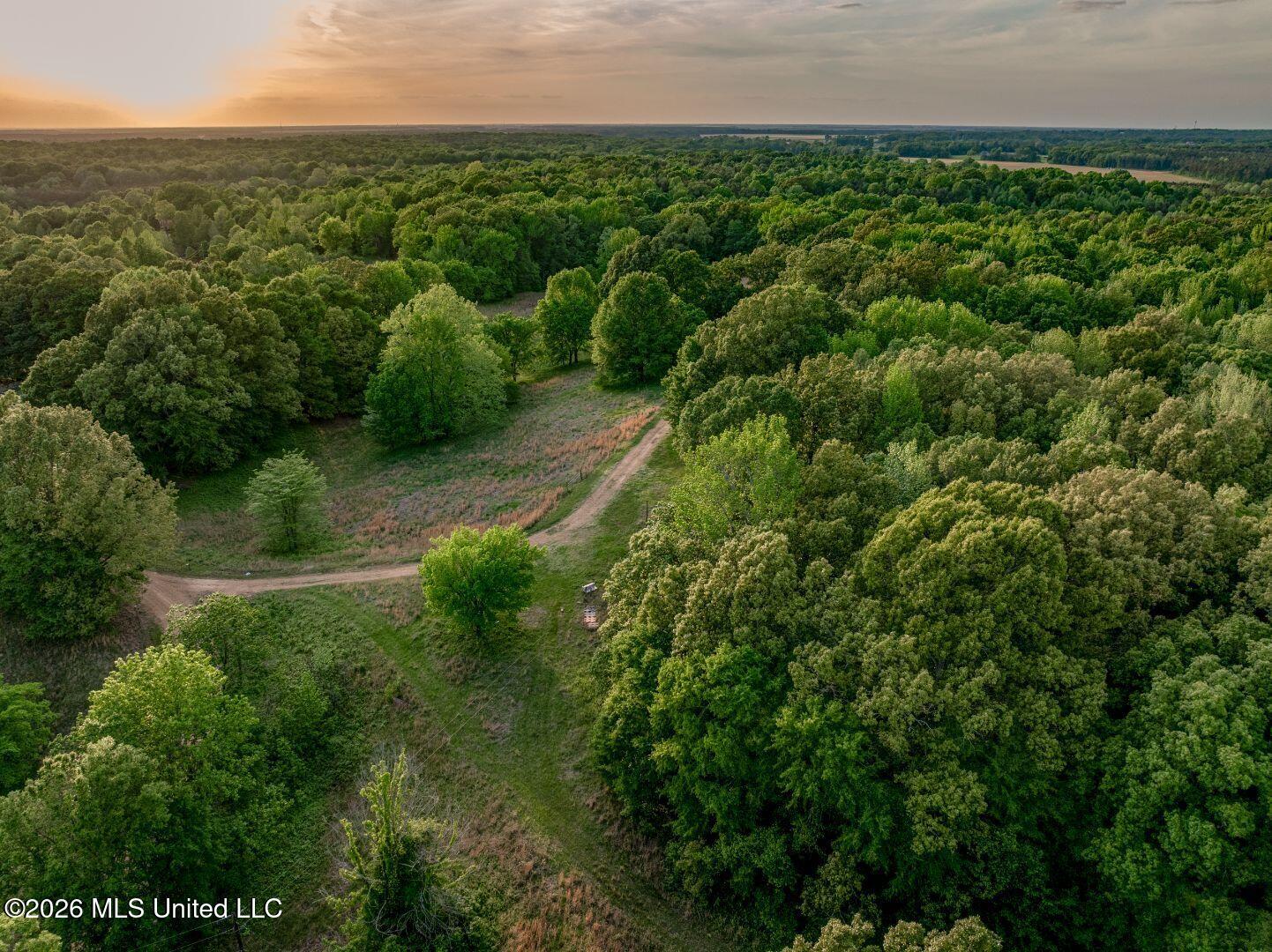 0 Hankins Road Sarah, MS 38665 - Photo 5 of 32 13-HankinsFinal