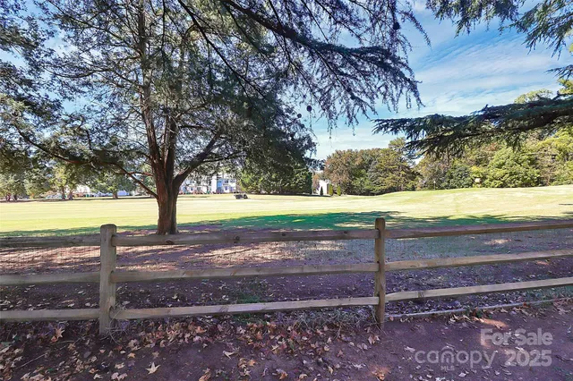 a view of a yard with an tree
