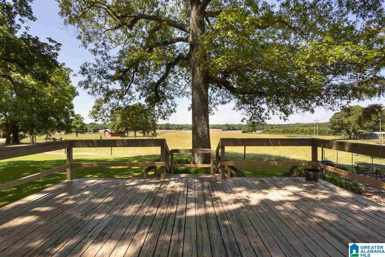 2125 Sun Valley Road Harpersville, AL 35078 - Photo 39 of 45 Gallery Image 39