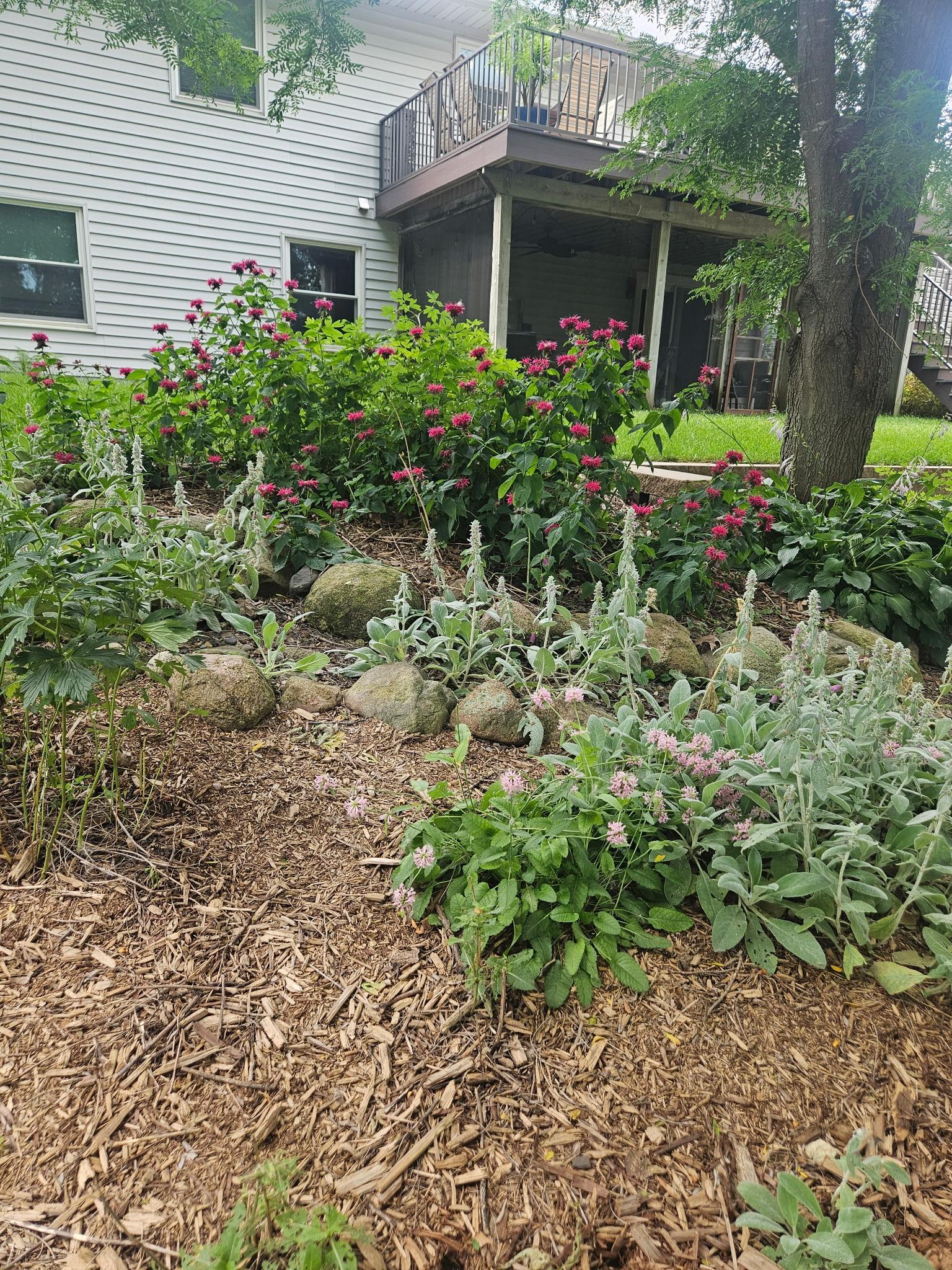 2231 52nd Street Northwest Rochester, MN 55901 - Photo 32 of 39