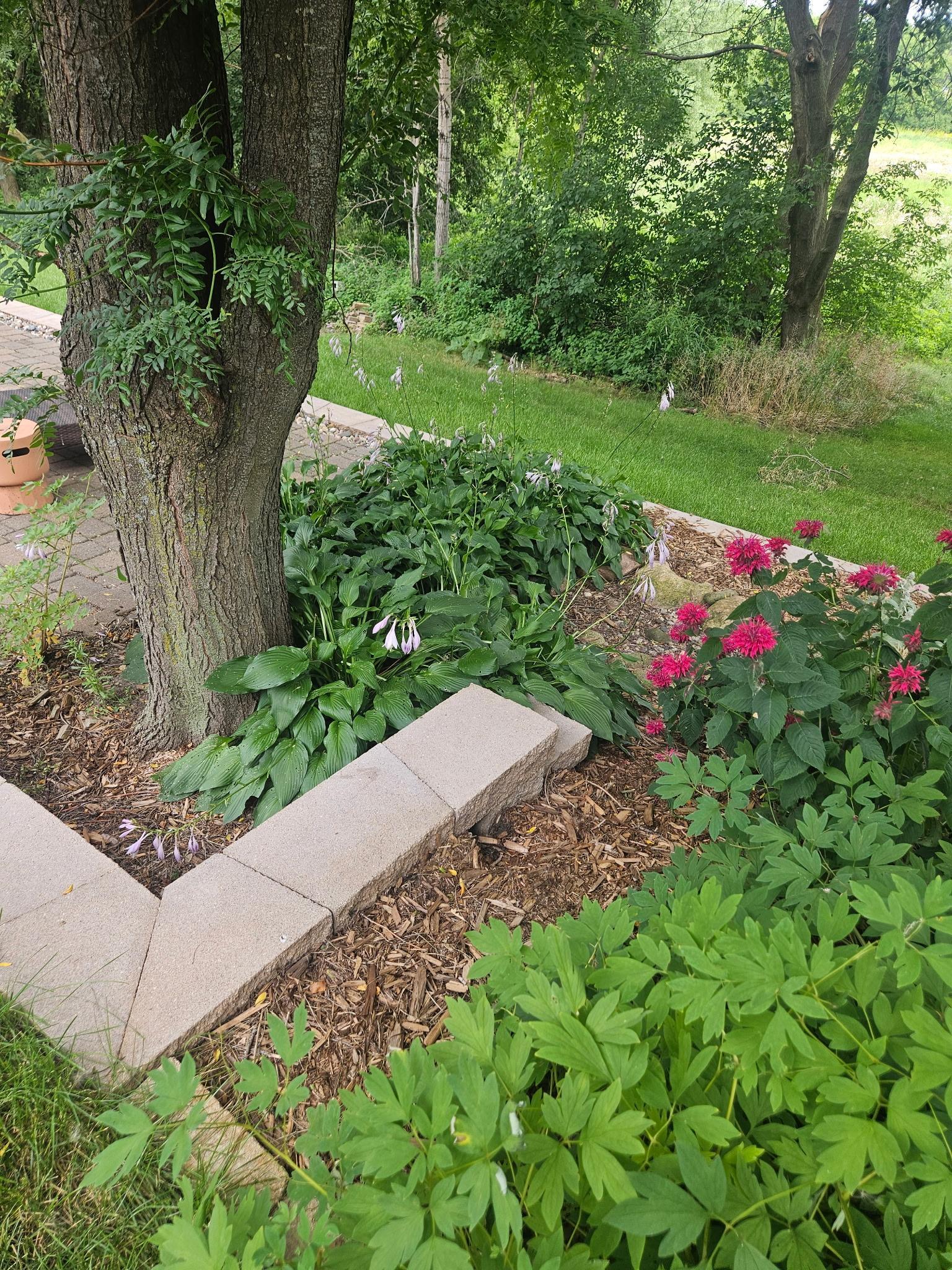 2231 52nd Street Northwest Rochester, MN 55901 - Photo 33 of 39