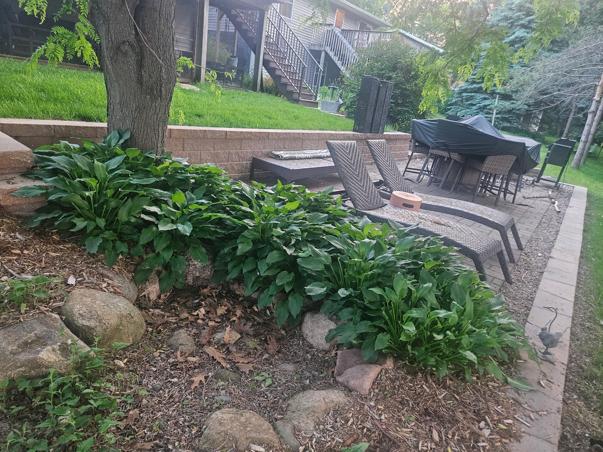 2231 52nd Street Northwest Rochester, MN 55901 - Photo 35 of 39