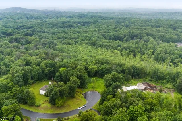 a view of a green field with lots of bushes