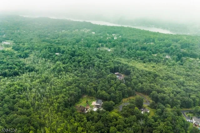 a view of a green field with lots of bushes
