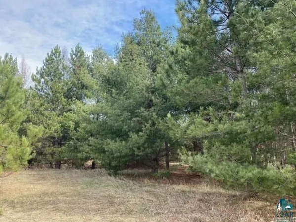 $55,000 | 75-xx South County Rd P, Lake Nebagamon, WI 54849