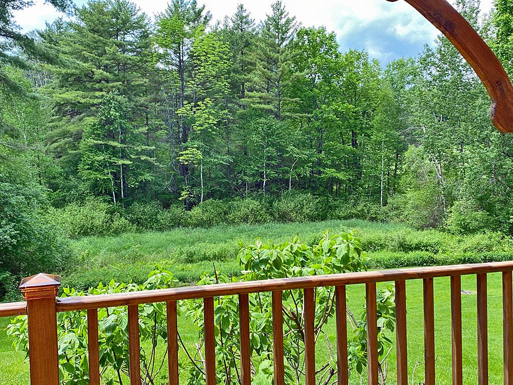 219 Horton Road Sudbury, VT 05733 - Photo 7 of 38 Gallery Image 7