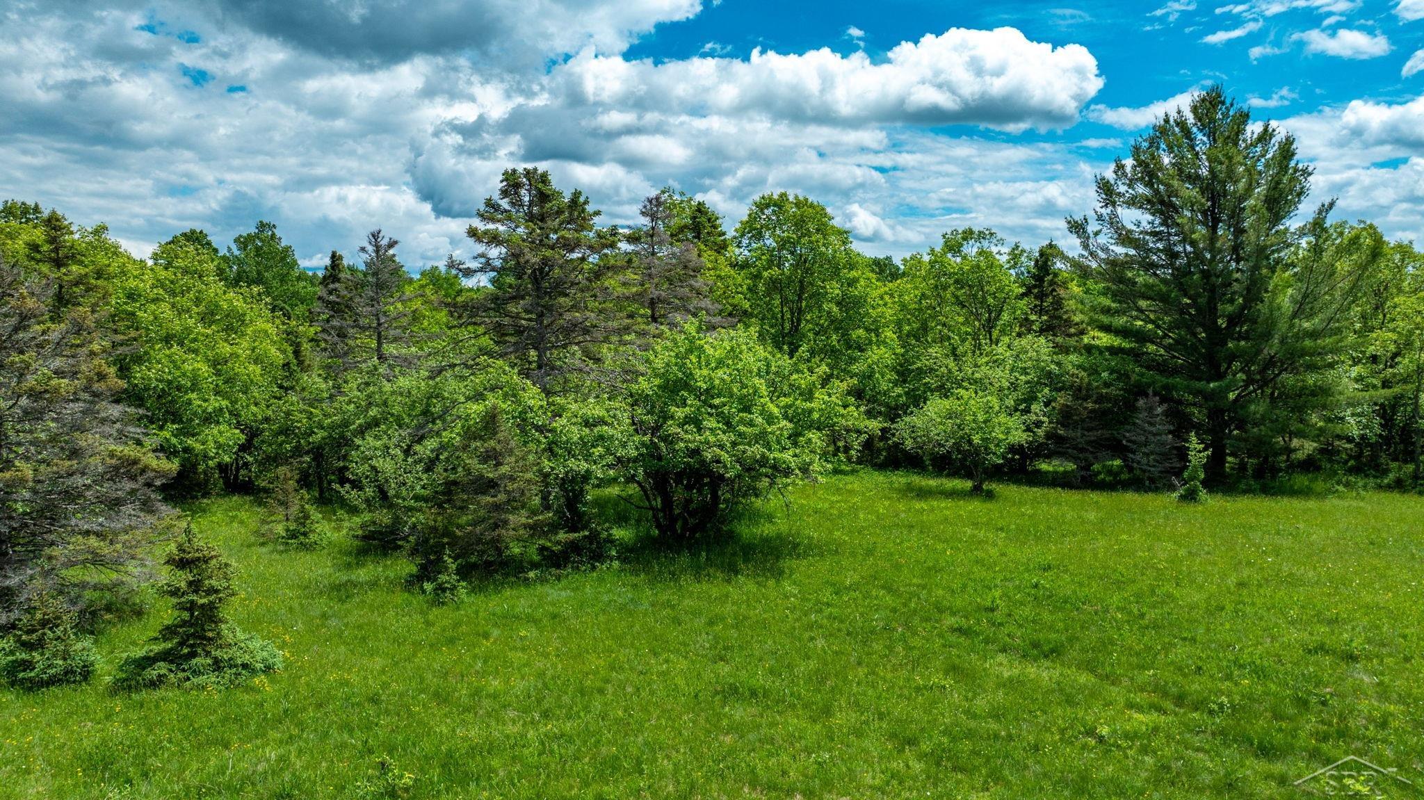 25615 Leo S Road Watton, MI 49970 - Photo 24 of 72