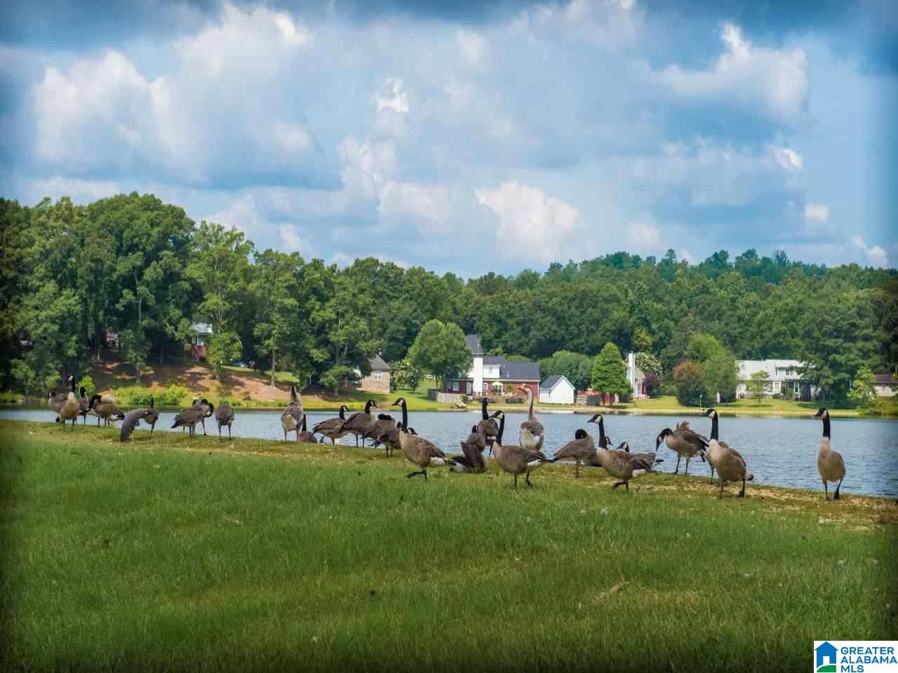 1020 St Clair Road Moody, AL 35004 - Photo 30 of 30