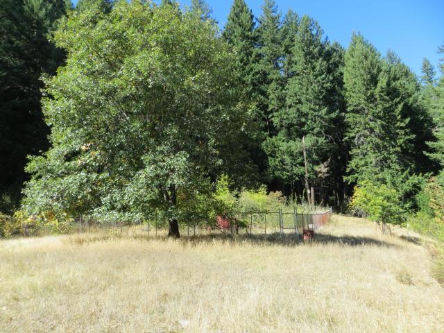 2500 Van Duzen Road Bridgeville, CA 95526 - Photo 17 of 48