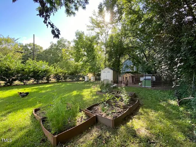 a view of a garden with a bench in a garden