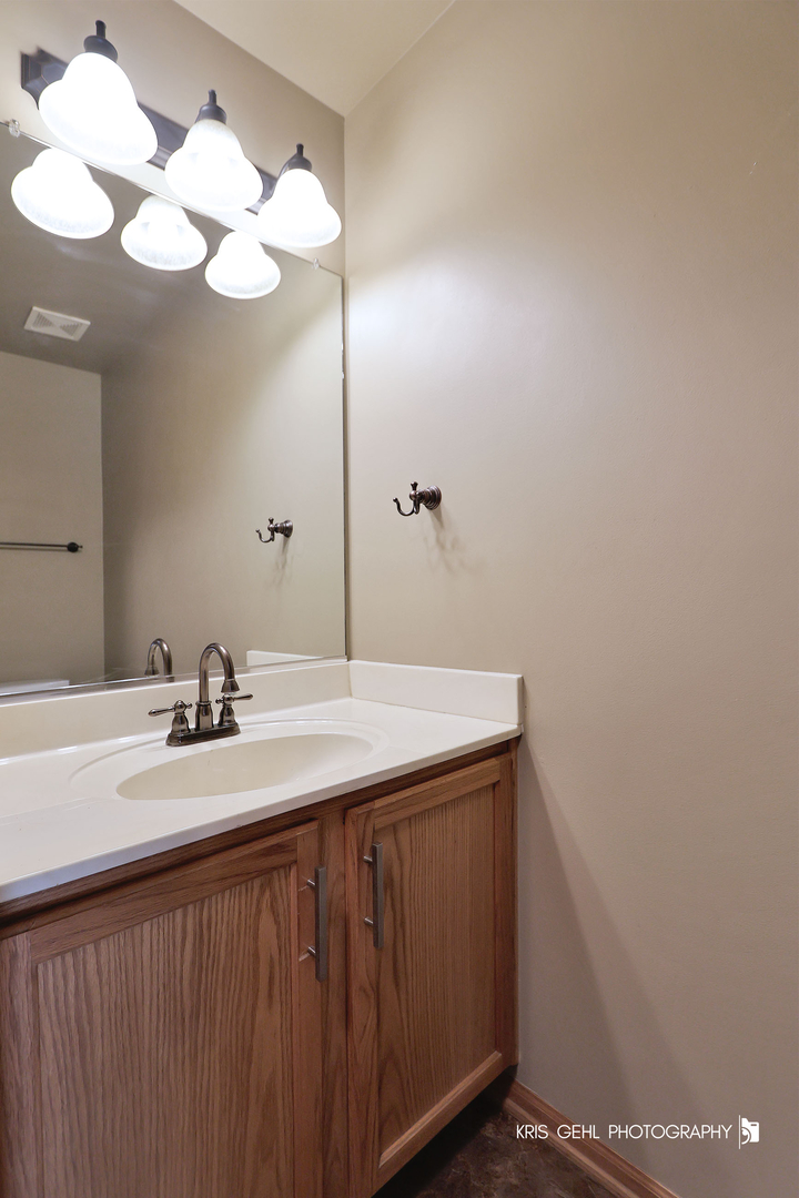 161 Wedgeport Court Romeoville, IL 60446 - Photo 12 of 31