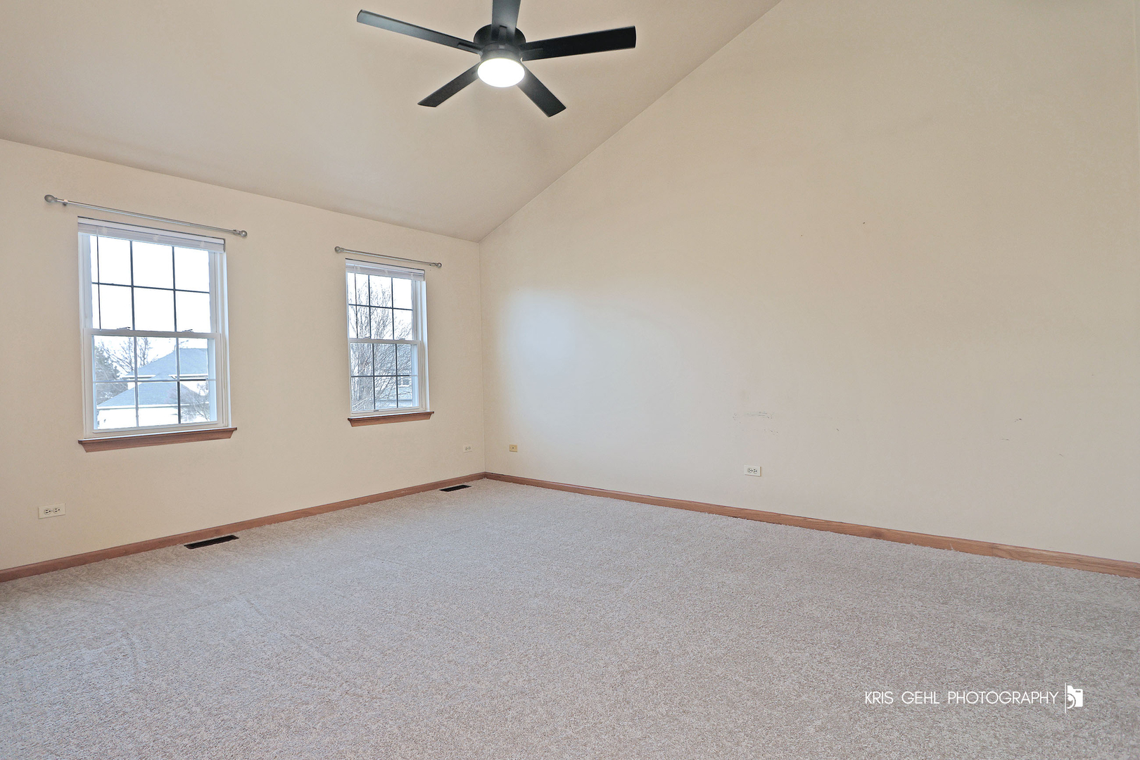 161 Wedgeport Court Romeoville, IL 60446 - Photo 15 of 31