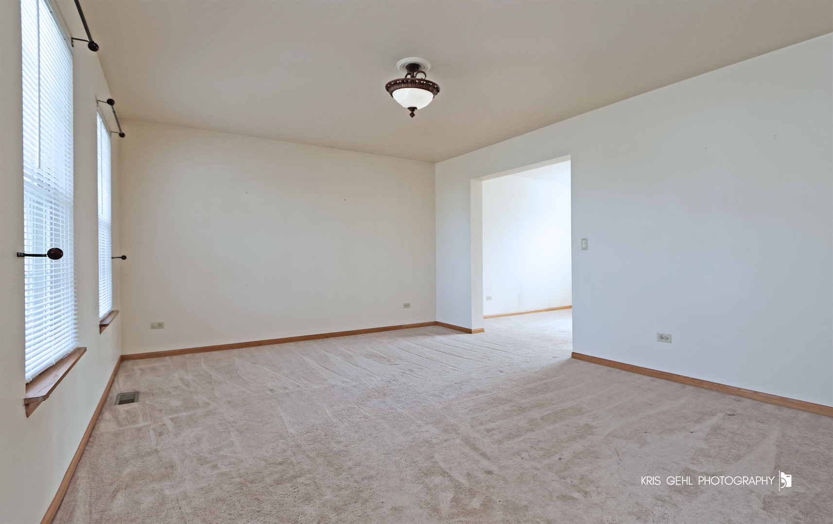 161 Wedgeport Court Romeoville, IL 60446 - Photo 3 of 31