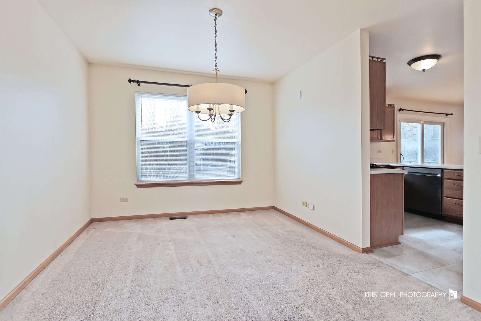 161 Wedgeport Court Romeoville, IL 60446 - Photo 5 of 31