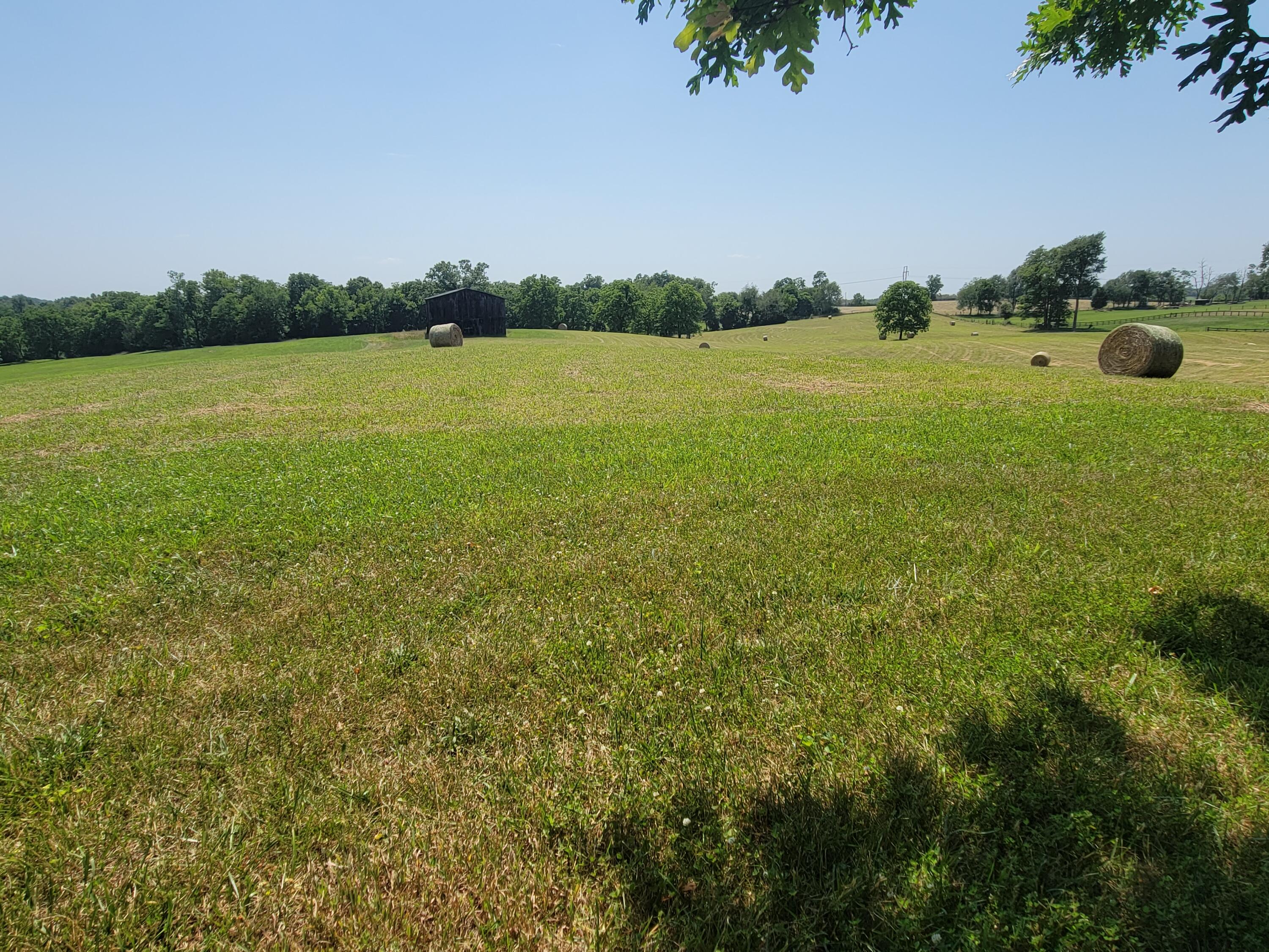 4897 Fords Mill Road Versailles, KY 40383 - Photo 15 of 52 20220614_152244
