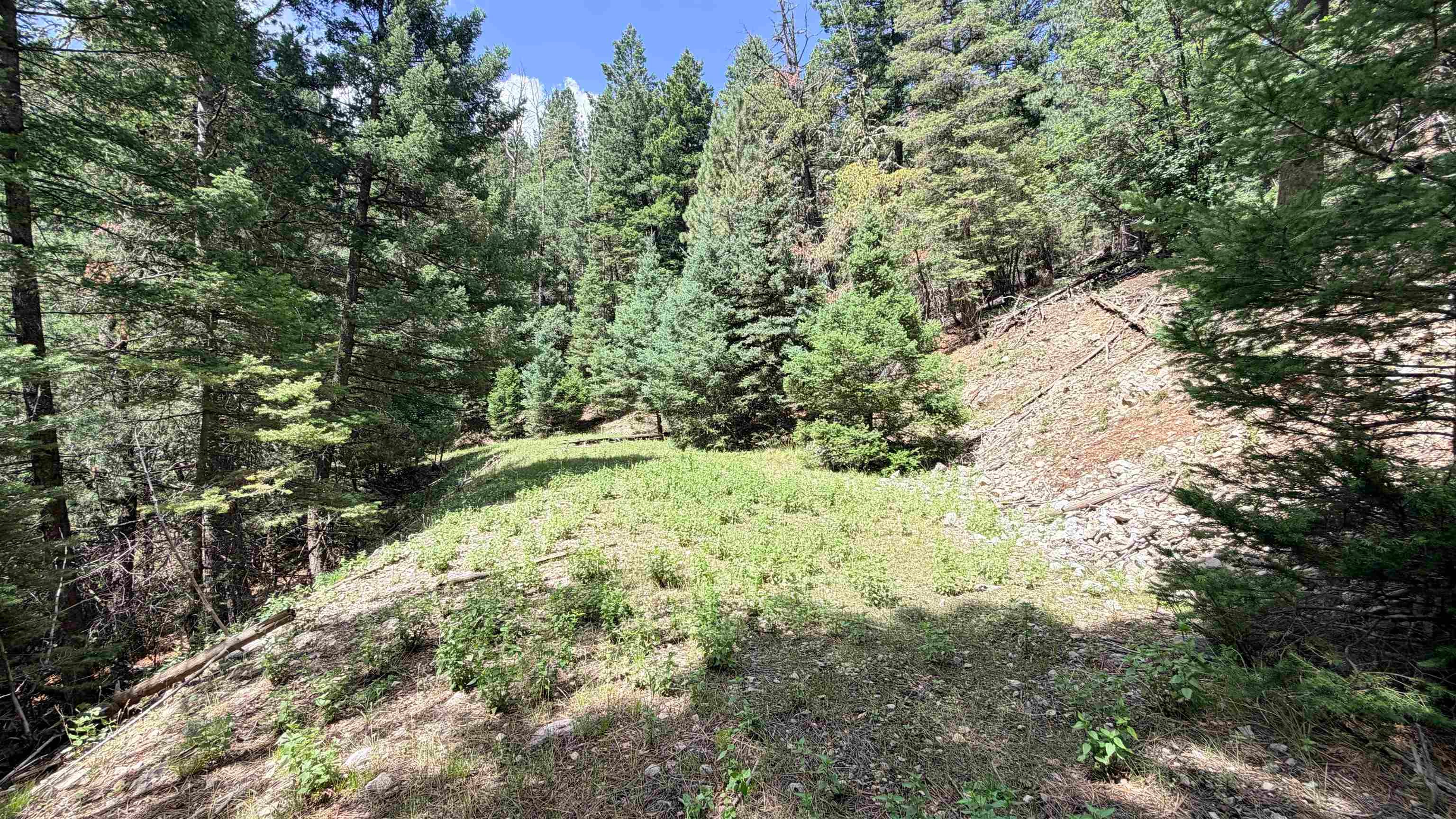 Raspberry Hill Road Cloudcroft, NM 88317 - Photo 2 of 14 Gallery Image 2