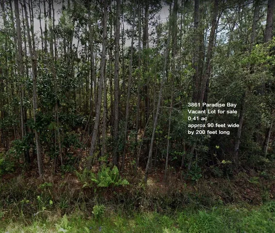 a view of outdoor space and garden