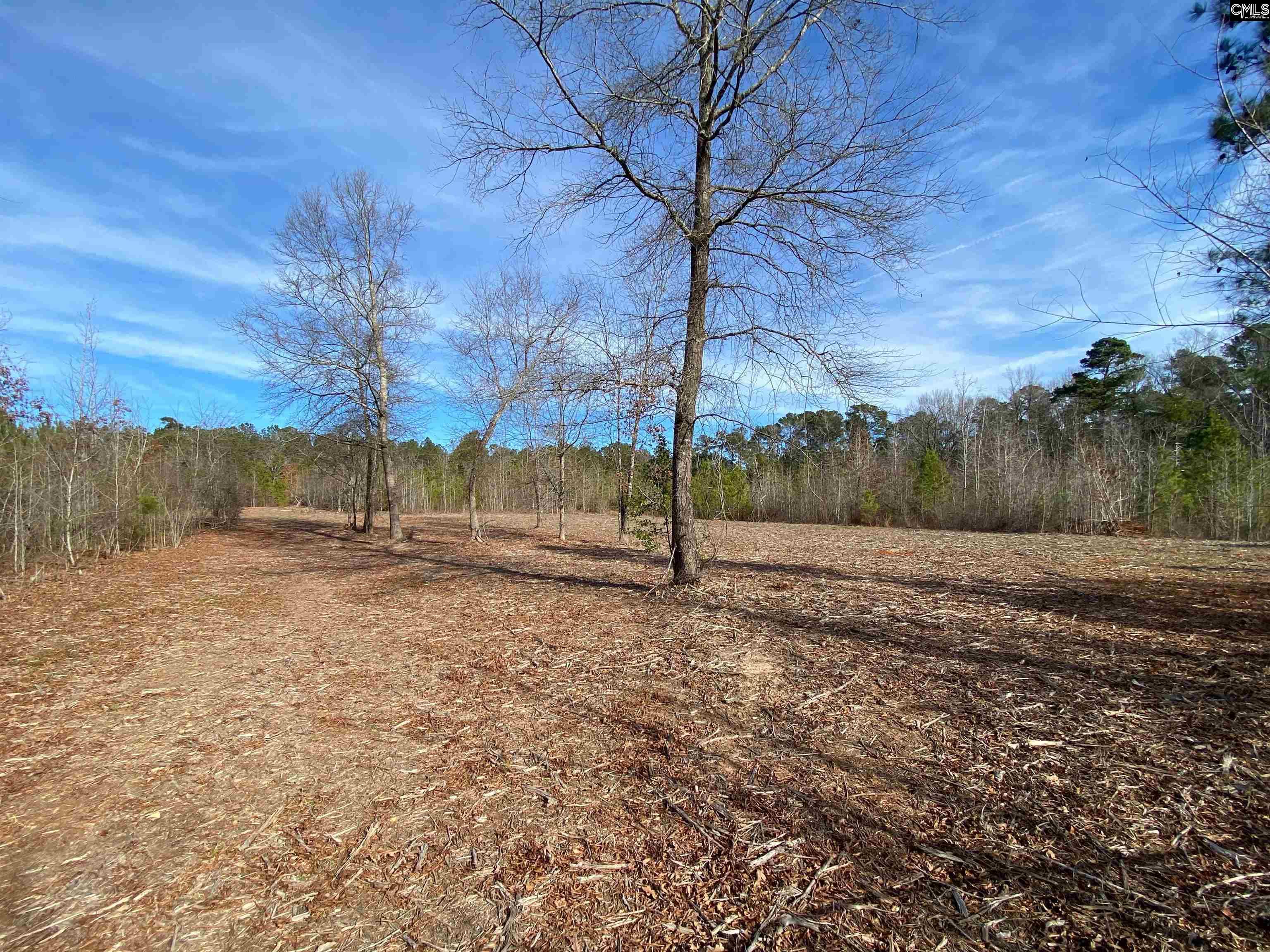 900 Pineywood Road Saluda, SC 29138 - Photo 11 of 23