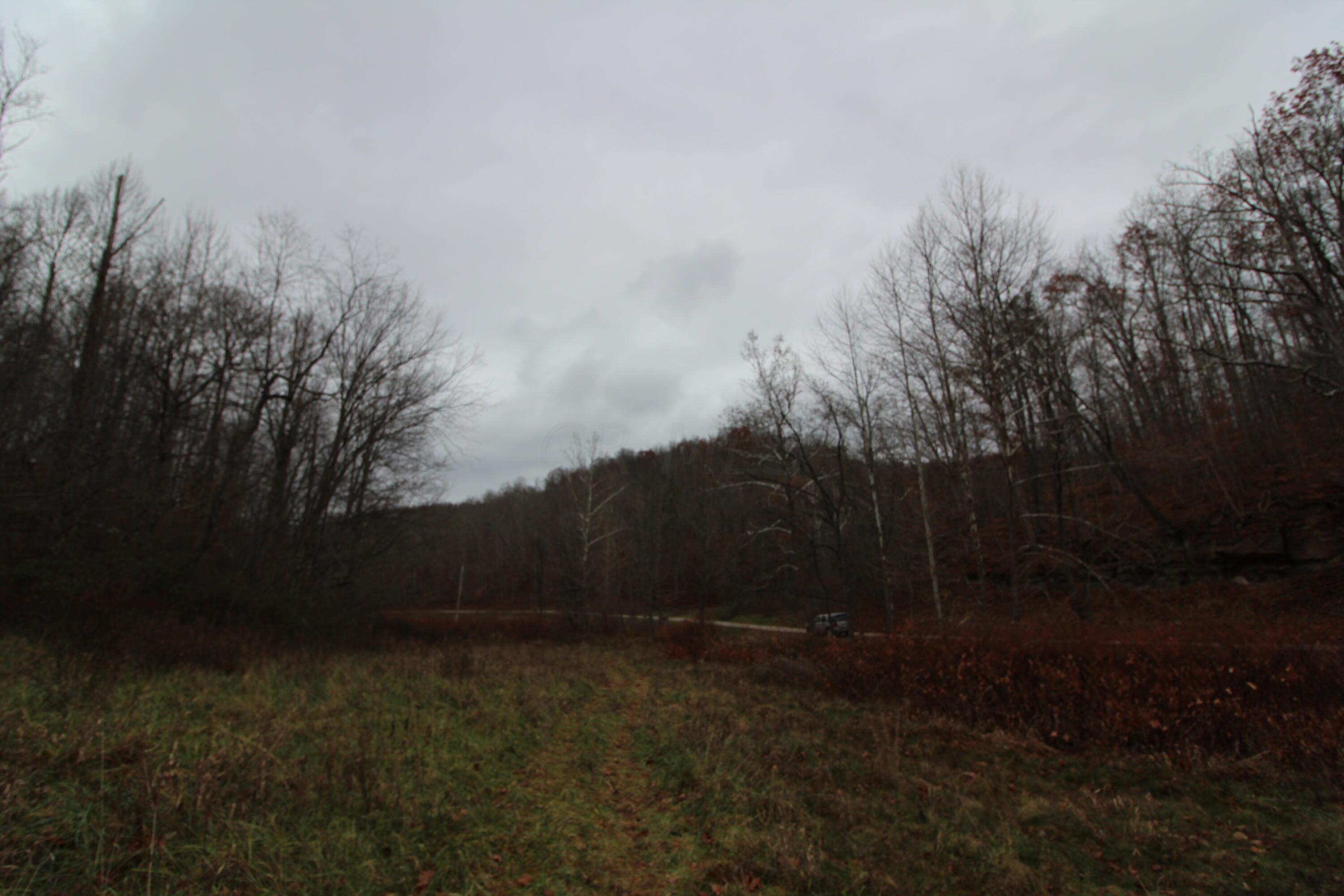 0 Wilson Run Road New Matamoras, OH 45767 - Photo 6 of 34 IMG_3550