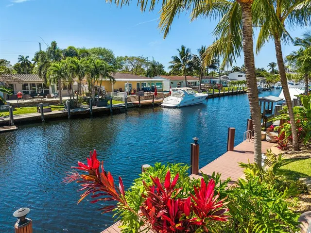 a park view with palm trees