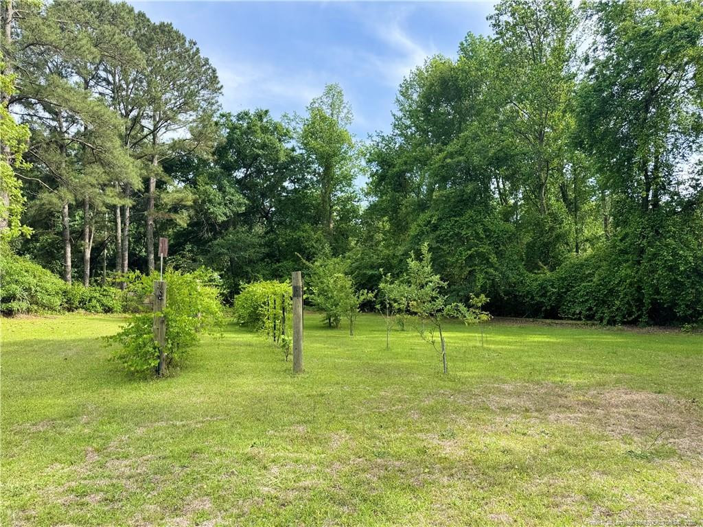 170 South River Road Autryville, NC 28318 - Photo 5 of 7 Photo 5