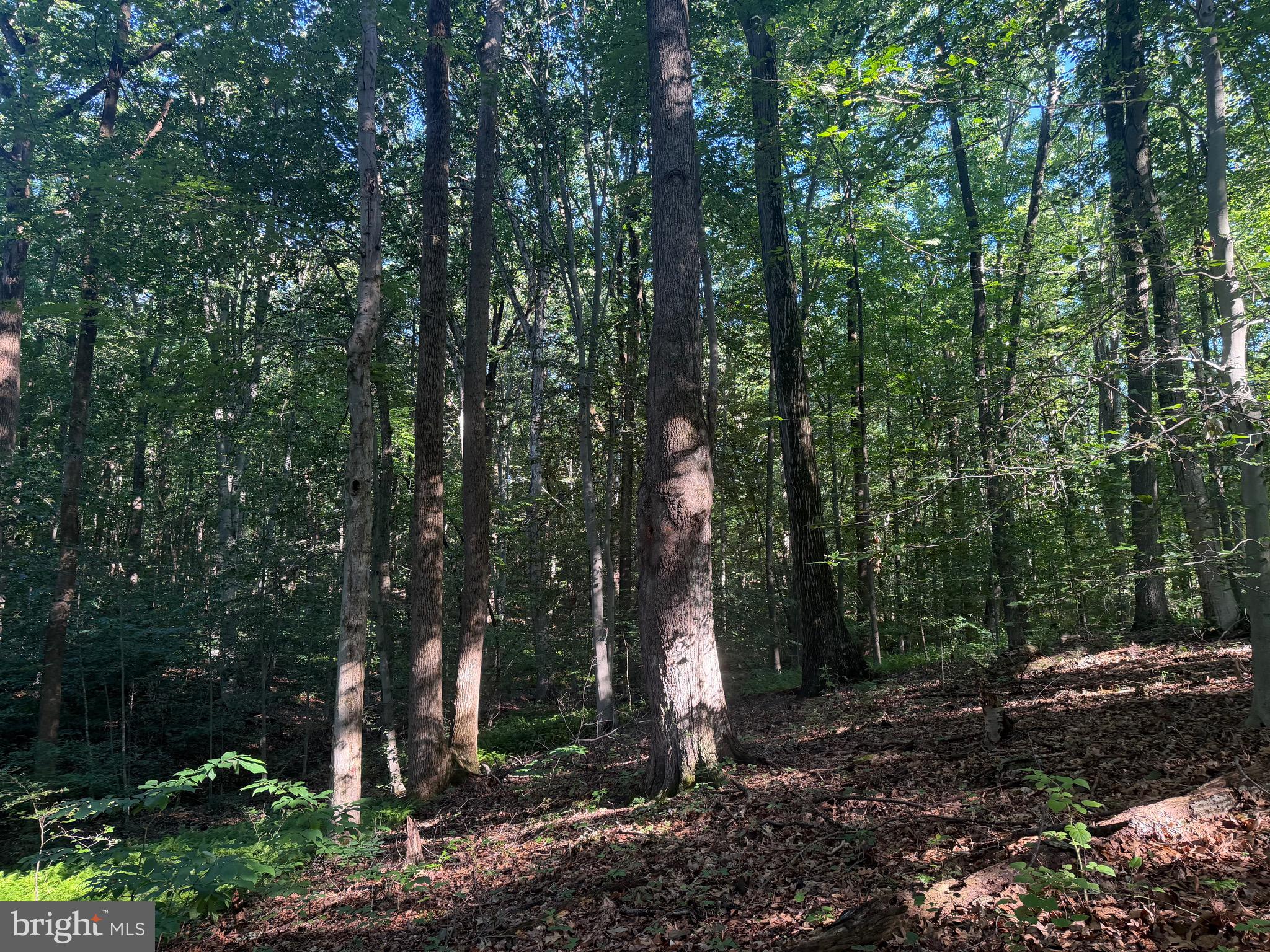 0 Rock Springs Road Conowingo, MD 21918 - Photo 46 of 79