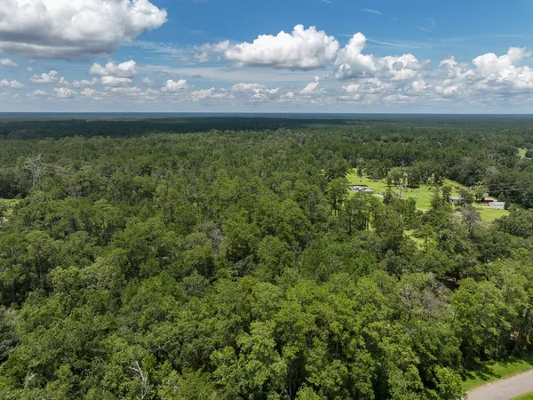 a view of a field of grass and trees