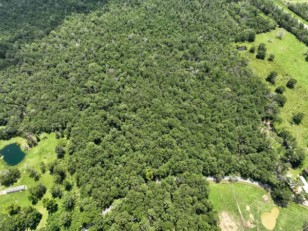 a view of a green field