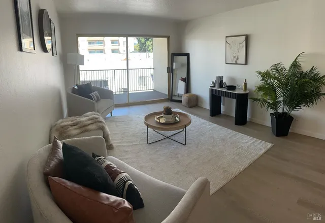 a living room with furniture and a potted plant
