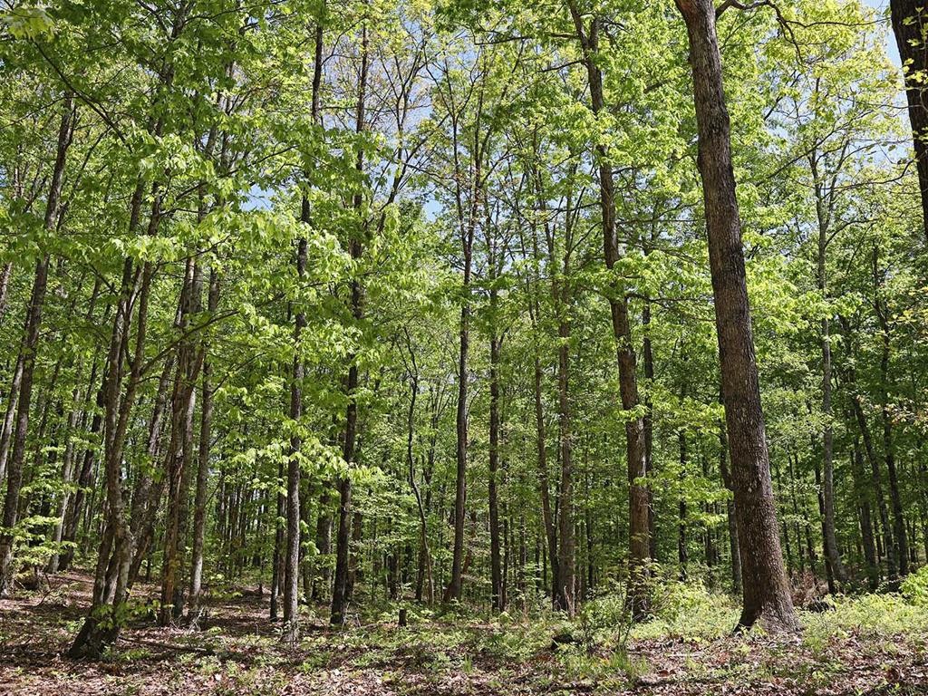 18 Grouse Ridge Road Harriman, TN 37748 - Photo 1 of 21 Gallery Image 1