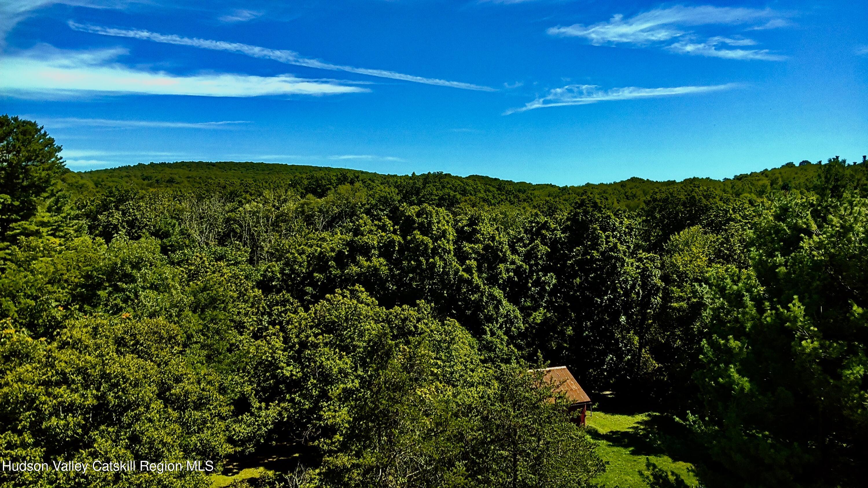 0 Mambert Road Hudson, NY 12534 - Photo 19 of 32 IMG_1050