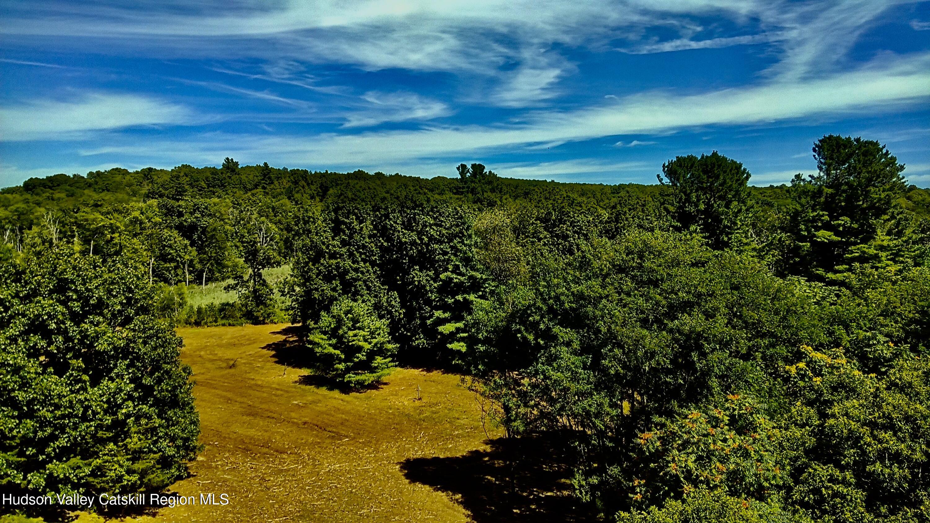 0 Mambert Road Hudson, NY 12534 - Photo 21 of 32 IMG_1048