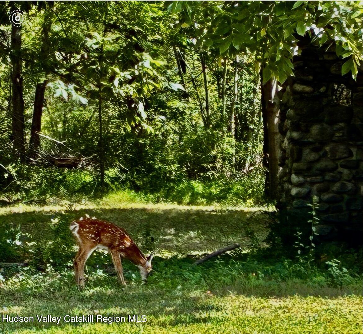 0 Mambert Road Hudson, NY 12534 - Photo 23 of 32 IMG_1189