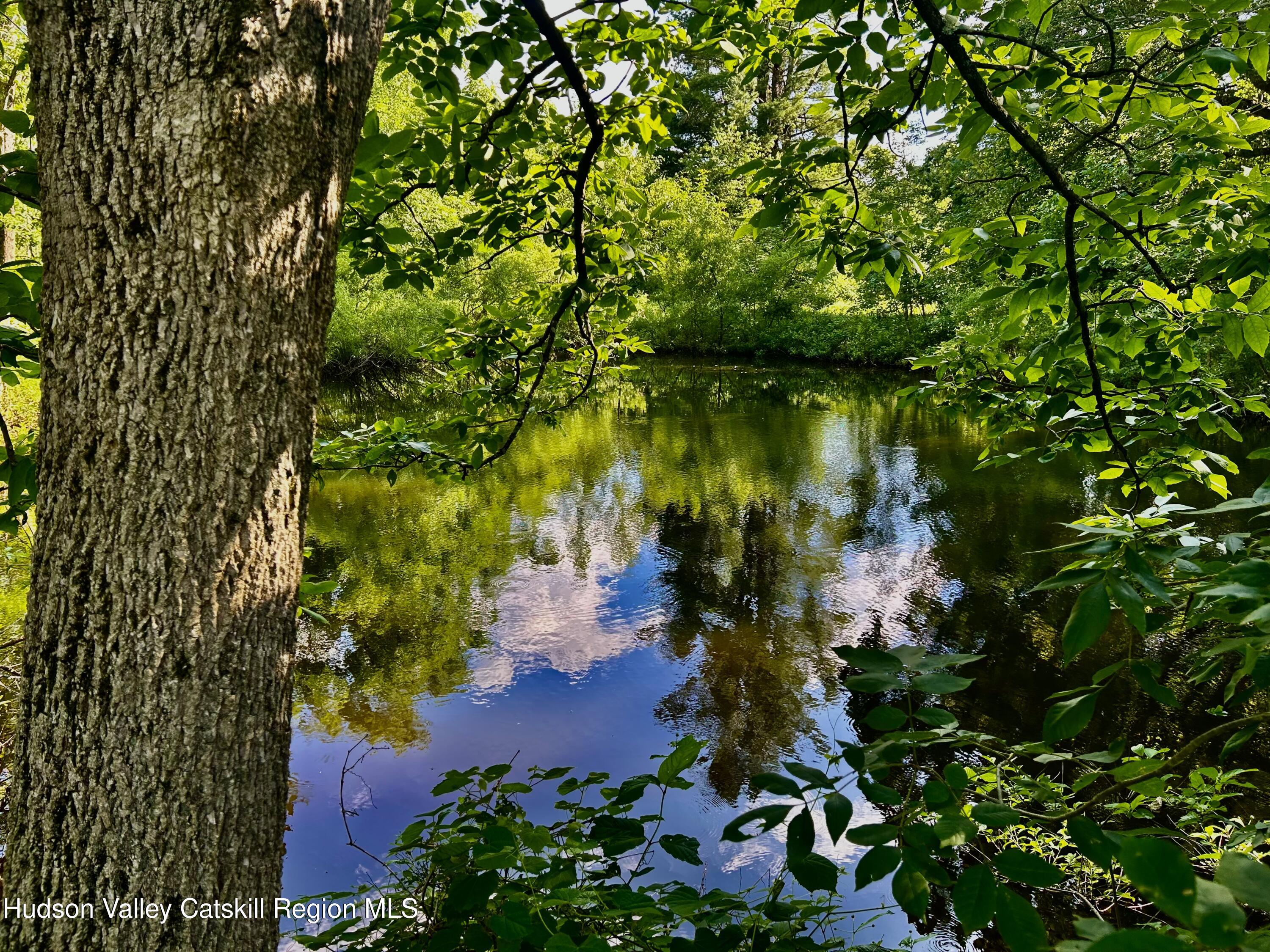 0 Mambert Road Hudson, NY 12534 - Photo 29 of 32 IMG_0674