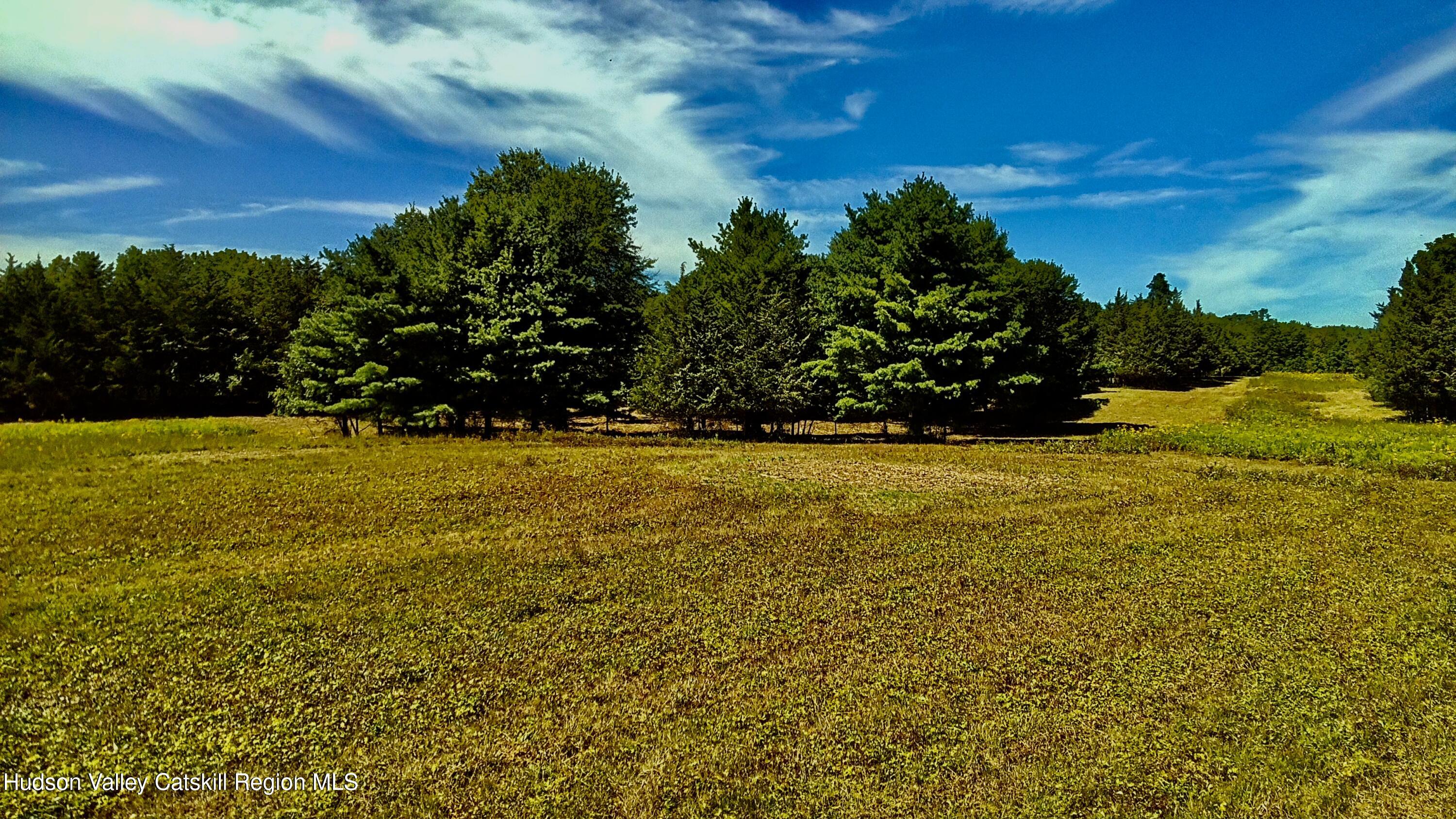 0 Mambert Road Hudson, NY 12534 - Photo 10 of 32 IMG_1062