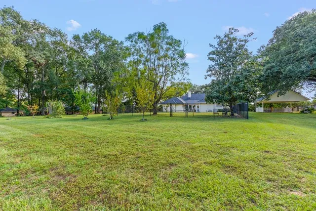 a view of green field