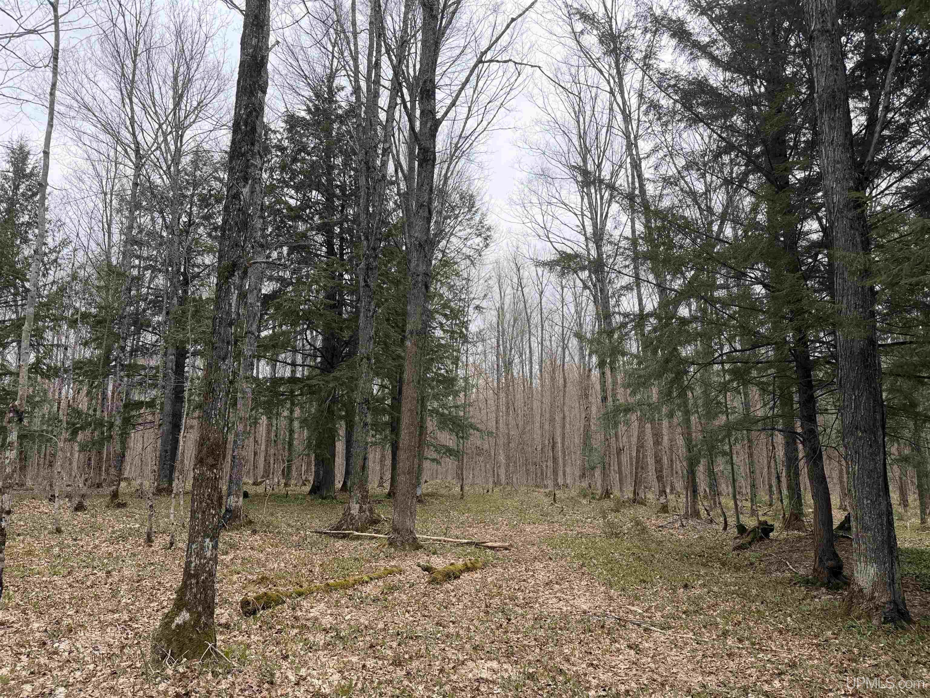 Tbd Lake Road Ironwood, MI 49938 - Photo 14 of 31
